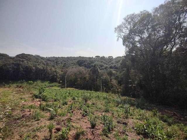 Chácara para Venda em Balsa Nova, Rincão Mirim