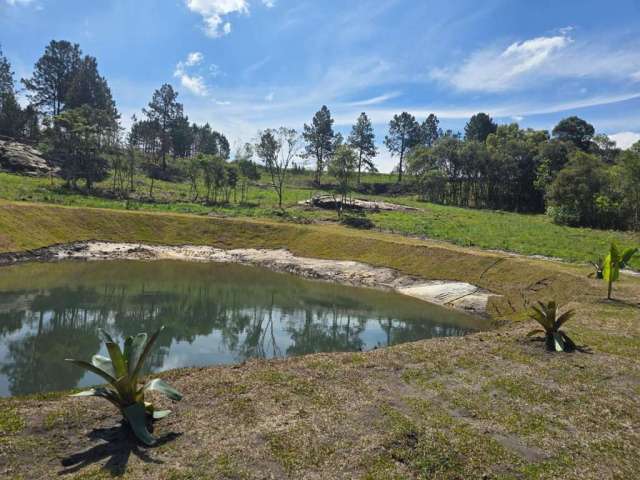 Chácara para Venda em Balsa Nova, São Luz do Purunã