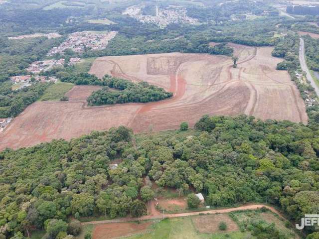 Terreno Industrial para Locação em Campo Largo, Ratada