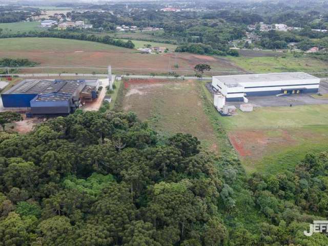 Terreno Industrial para Locação em Campo Largo, Fazendinha