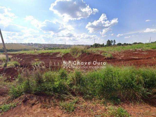 Terreno de esquina com 653m2 no Ecopark.