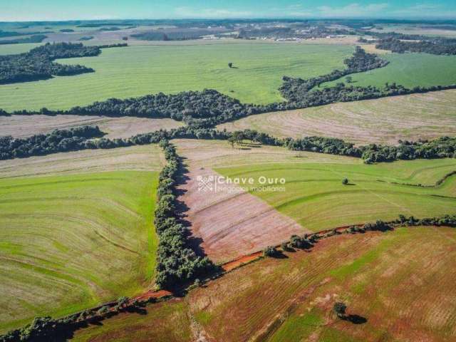 Área à venda, 3000 m² por R$ 450.000,00 - Cascavel Velho - Cascavel/PR