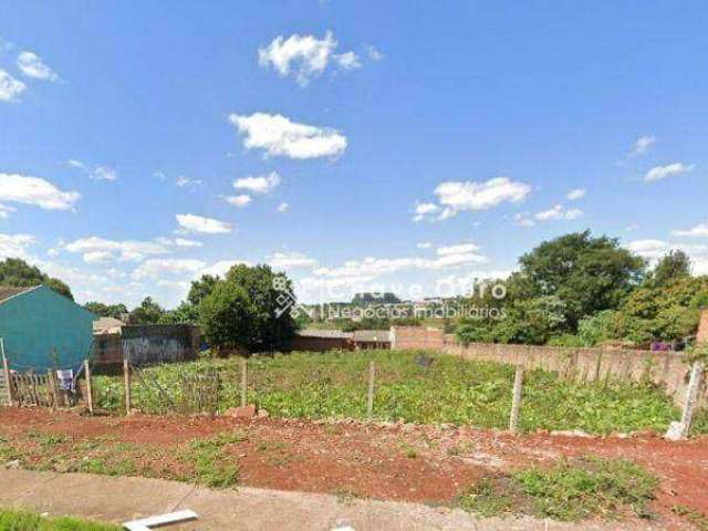 Terreno à venda, 600 m² por R$ 300.000,00 - Periolo - Cascavel/PR