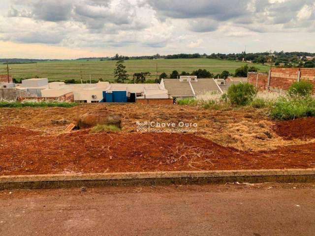 Terreno à venda, 250 m² por R$ 100.000,00 - Floresta - Cascavel/PR