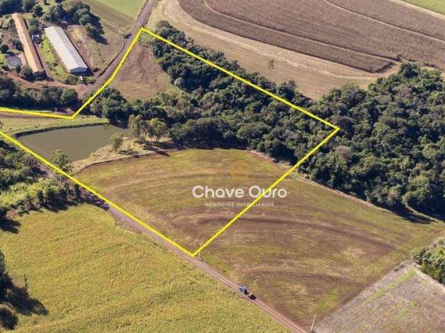 Área à venda, 33199 m² por R$ 800.000,00 - Zona Rural - Toledo Pr - Toledo/PR