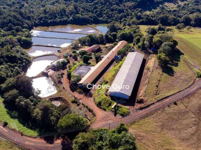 Sítio à venda, 72550 m² por R$ 5.500.000,00 - Zona Rural - Toledo Pr - Toledo/PR