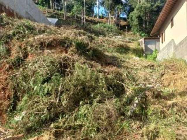 Terreno para Venda em Nova Friburgo, Braunes