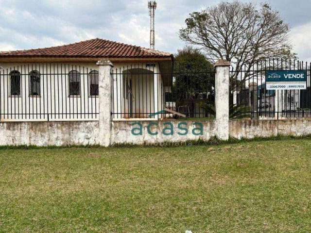 Terreno à venda, 390 m² por R$ 700.000,00 - Universitário - Cascavel/PR