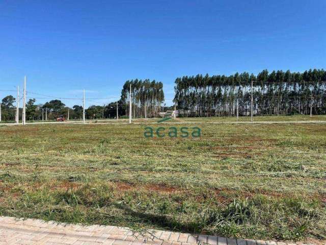 Terreno à venda, 300 m² por R$ 319.000,00 - Tropical IV - Cascavel/PR