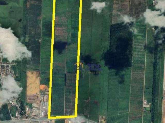 Terreno à venda, 680000 m² por R$ 190.400.000,00 - Escalvados - Navegantes/SC