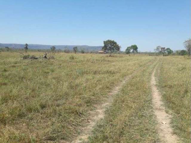 fazenda com 194 hectares nas margens da BR 040