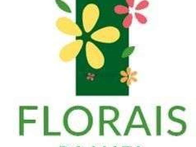 Oportunidade Ginco Florais da Mata