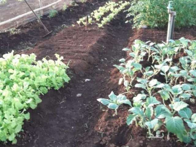 Sitio a venda em coqueiral - bom jardim - nobres.