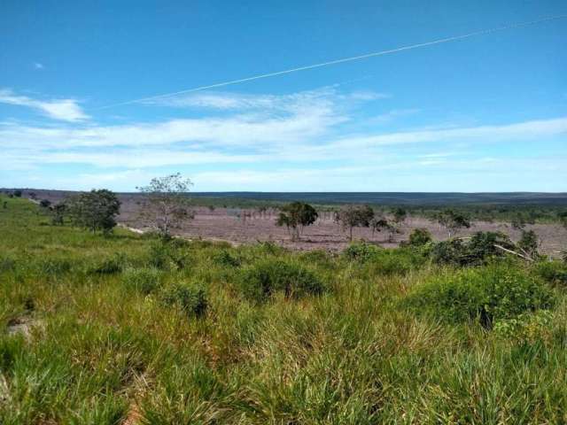 Fazenda à Venda Caceres  2.350 hectares  com 1.000 hectares formada