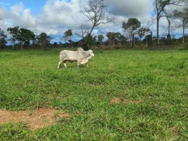 Fazenda à venda na Área Rural, 01, Área Rural de Rondonópolis, Rondonópolis, 2000 m2 por R$ 45.000.000