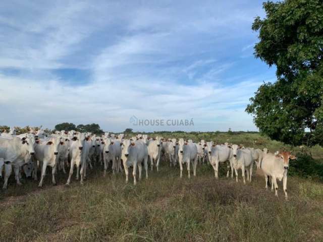 Fazenda à venda na Região Acorizal, 2, Zona Rural, Acorizal, 11020 m2 por R$ 15.000.000