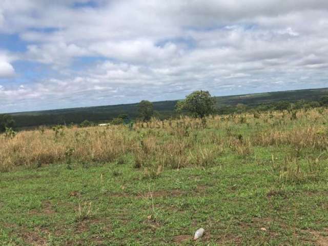 Fazenda à venda na Fazenda em nova Xavantina, 1, Zona Rural, Cuiabá, 50 m2 por R$ 7.000.000