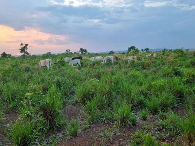 Sitio com 48 Hectares na região da cidade de Nobres MT