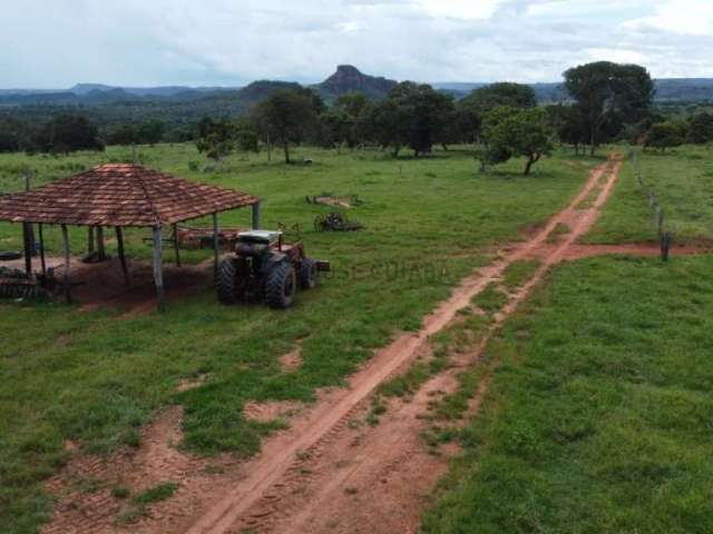 Oportunidade Fazenda Poxoréu-MT