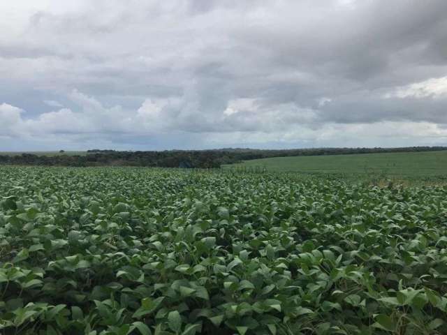 Excelente Fazenda Primavera do Leste/MT