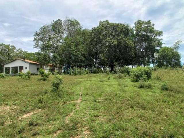 Oportunidade Investimento Fazenda Poconé