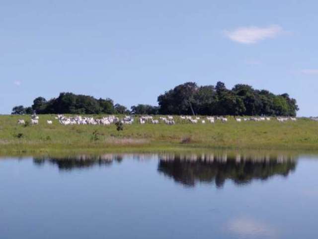 Excelente Fazenda MUNICIPIO DE CRIXAS GOIAS