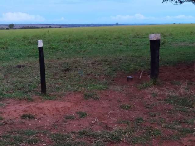 Oportunidade Fazenda No município de Camapuã - MS