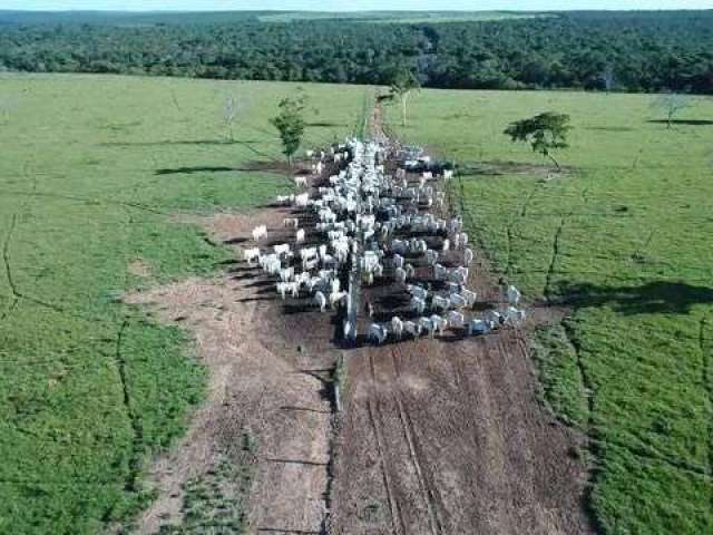 Fazenda à venda na Zona Rural, Paranatinga , 3 m2 por R$ 150.000.000