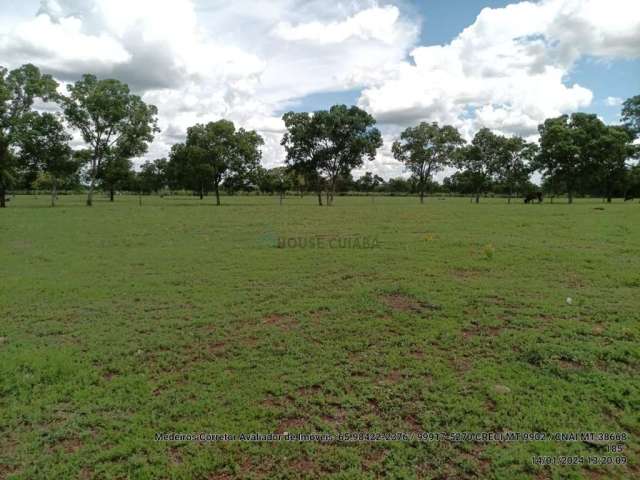 Fazenda dupla aptidão com 243 hectares na região da terra vermelha 4 km do distr