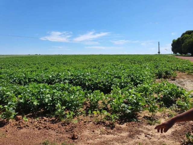 Excelente oportunidade. fazenda a venda em paranatinga