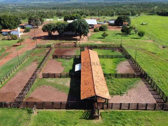 Fazenda a venda de porteira fechada DUPLA APTIDAO