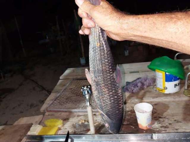 Chácara com pesqueiro rio Cuiabá, região da cidade de Santo Antônio do Leverger