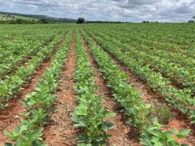 Fazenda a venda em nobres - mt