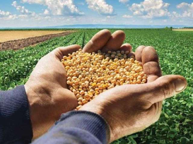 Excelente fazenda  a  venda em paranatinga - mt