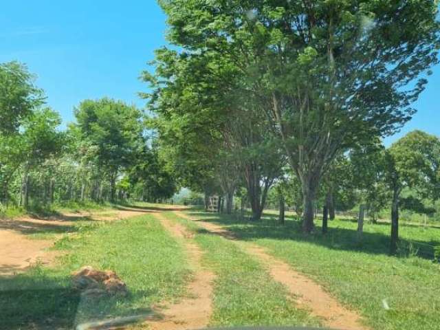 Excelente fazenda  a venda em cáceres