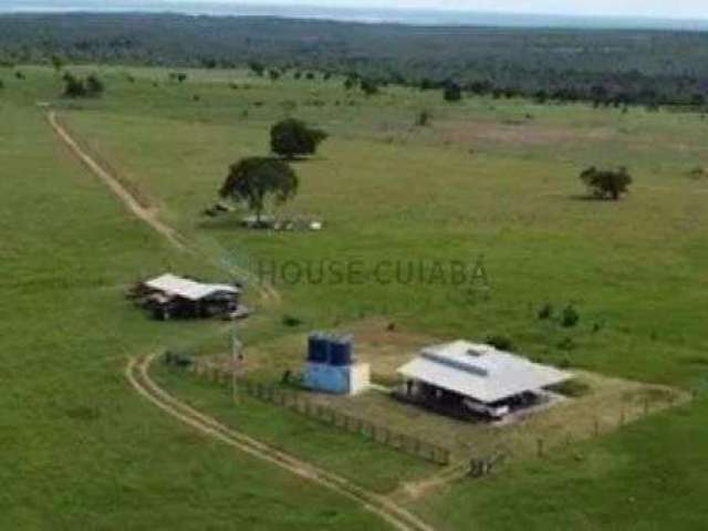 Negocio de oportunidade fazenda 400 hectares em rondonopolis - mt