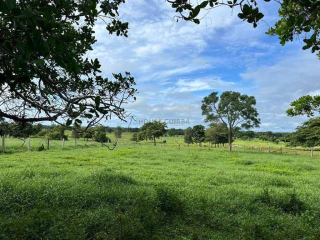 sitio com 16 hectares, sendo 12 todo formado na regão do 120, escriturados  com