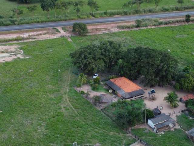 Fazenda em Cáceres na Beira do Asfalto 113 hectares