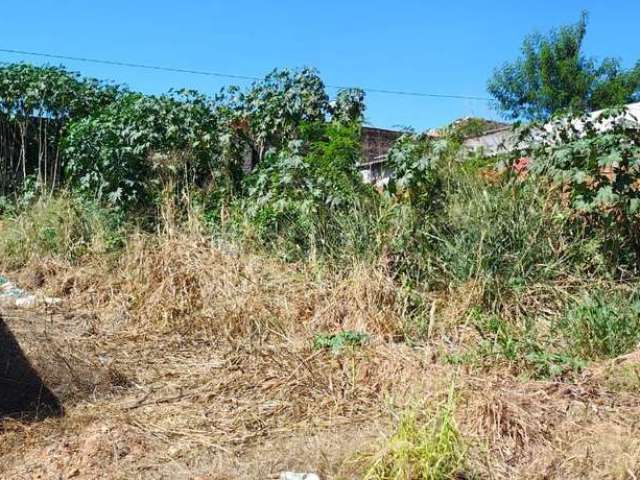 Vendo Terreno no Bairro Canelas em Várzea Grande