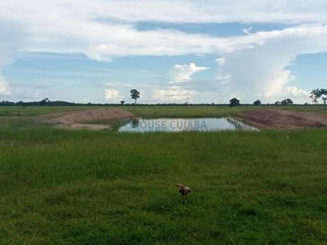 FAZENDA 517 HECTARES (entre livramento e o Pirizal)