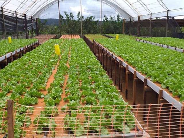 Sitio a venda em sto antonio da fartura sao vicente