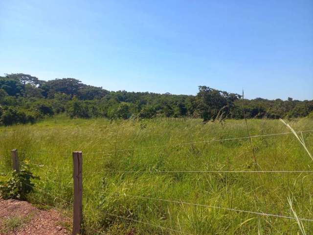 chácara de 2,9 hectares toda no cerradão bruto sem benfeitorias, toda cercada