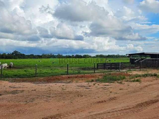 Fazenda  sao vicente  a venda