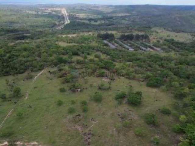 Fazenda  170 hectares  na beira da rodovia