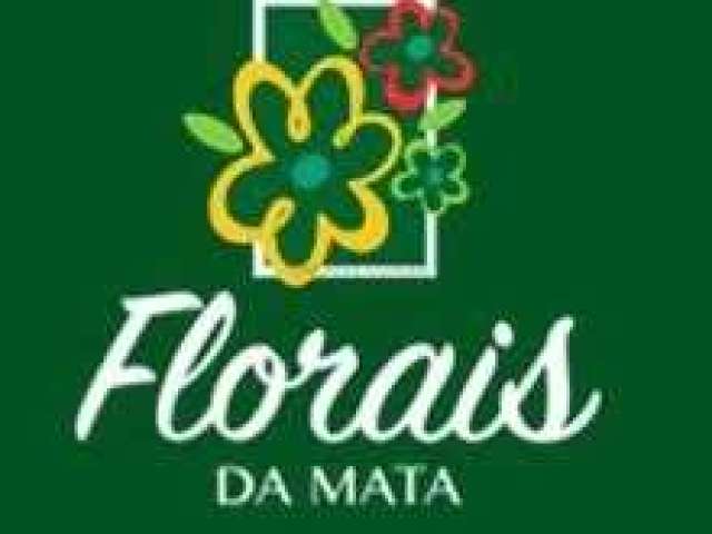 Terreno no florais da mata