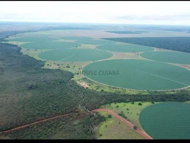 Fazenda a venda em  jussara-goias 5.388 hectares