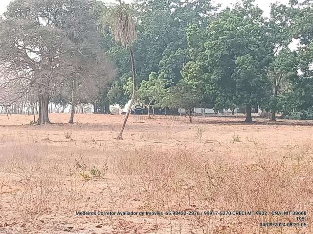 Fazendinha com 100 hectares 15 minutos do trevo do lagarto, na região da comunid