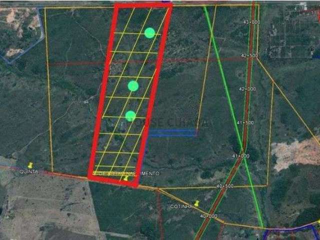 Terreno comercial nas margens da BR 070, com 200 Hectares Próximo do trevo do la