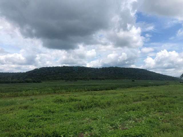 Fazenda  4.890 hectares  Pantanal.