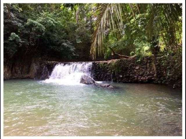 Fazenda Na nossa senhora da guia